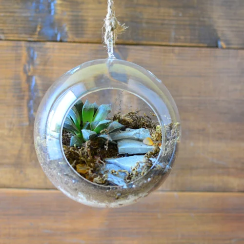 The Blooming Staircase Terrarium Kit -Plant Life Decor Shop Blooming staircase 2