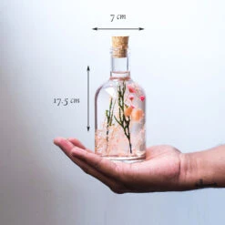 Blushing Ballet Preserved Flower Tabletop -Plant Life Decor Shop Blushing Ballet 2