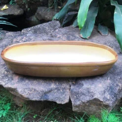 Chiselled Bonsai Ceramic Tray -Plant Life Decor Shop BonsaiOvalLongTray Beigeset 37x14x7 1520gms 3