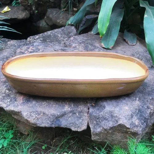 Chiselled Bonsai Ceramic Tray -Plant Life Decor Shop BonsaiOvalLongTray Beigeset 37x14x7 1520gms 3