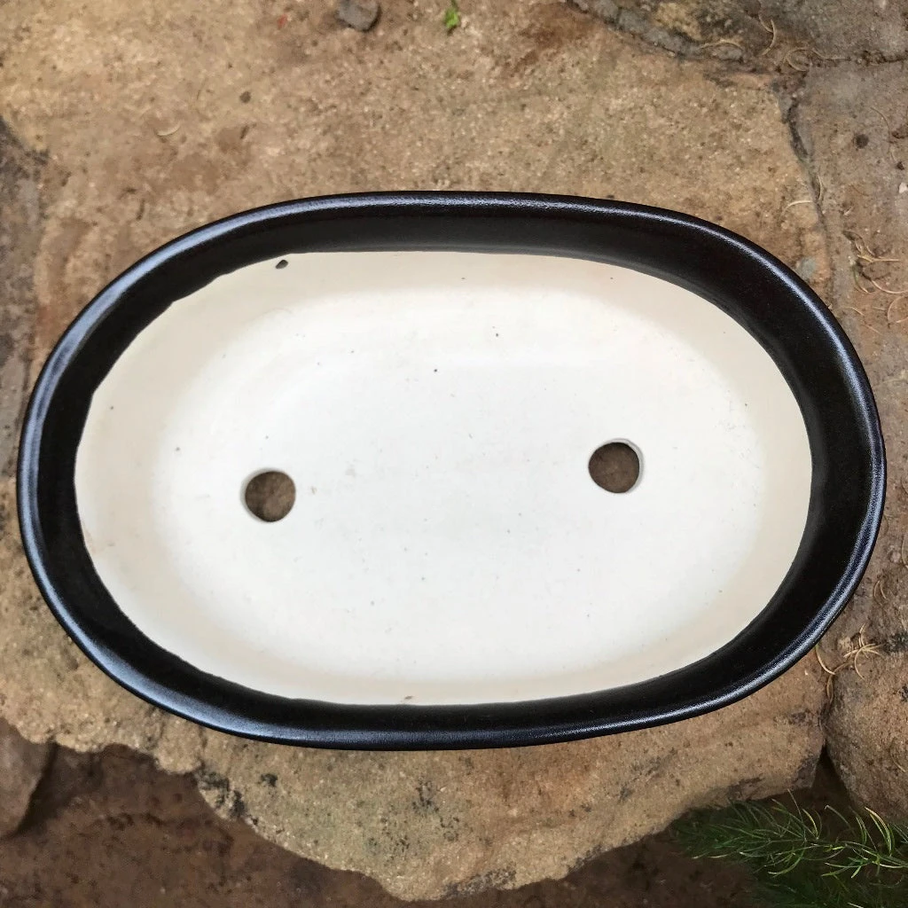 Bonsai Oval Ceramic Planter 4 Bonsai Oval Ceramic Planter - Image 4