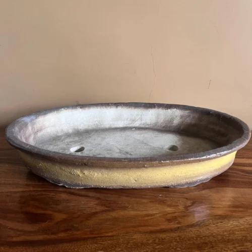 Contoured Oval Ceramic Bonsai Tray 8 Contoured Oval Ceramic Bonsai Tray -Plant Life Decor Shop BonsaiTray Golden Clay