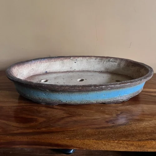 Contoured Oval Ceramic Bonsai Tray 9 Contoured Oval Ceramic Bonsai Tray -Plant Life Decor Shop Bonsai Tray Teal 430 x 270 x 70 2600 gms