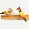 Exotic Birds - Woodpecker