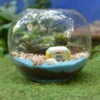 Camping By The Beach Terrarium Kit