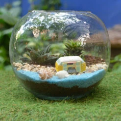 Camping By The Beach Terrarium Kit