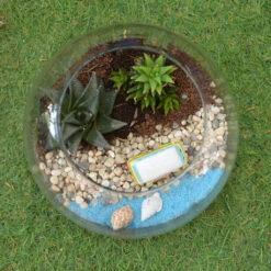 Camping By The Beach Terrarium Kit -Plant Life Decor Shop Camping By the beach 3