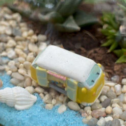 Camping By The Beach Terrarium Kit -Plant Life Decor Shop Camping By the beach 4