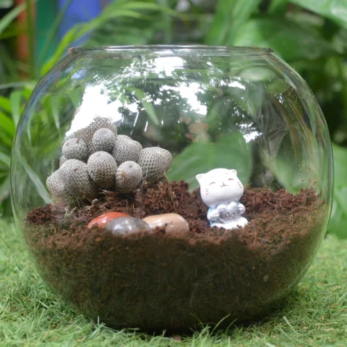 Miniature Cat With Love Sign – Cute Resin Decor For Gifts & Gardens 8 Miniature Cat With Love Sign – Cute Resin Decor For Gifts & Gardens -Plant Life Decor Shop Cat Holding Love Sign 4