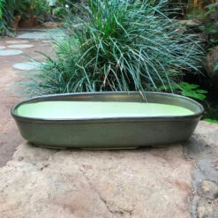 Chiselled Bonsai Ceramic Tray -Plant Life Decor Shop ChiselledBonsaiCeramicTray Medium SageGreen 5