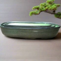 Set Of 3 Chiselled Bonsai Ceramic Tray -Plant Life Decor Shop ChiselledBonsaiCeramicTraySet SageGreen 1