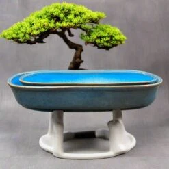 Set Of 2 Chiselled Bonsai Ceramic Tray Kok