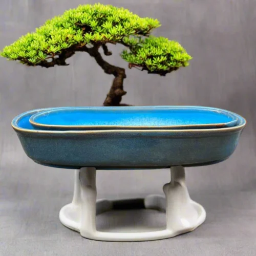 Set Of 2 Chiselled Bonsai Ceramic Tray Kok