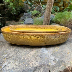 Chiselled Bonsai Ceramic Tray -Plant Life Decor Shop Chiselled Bonsai Ceramic Tray Set Speckled Mustard Yellow 4 1