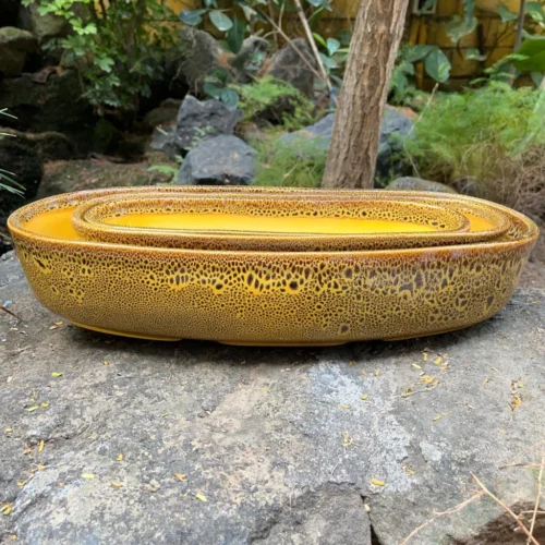 Chiselled Bonsai Ceramic Tray -Plant Life Decor Shop Chiselled Bonsai Ceramic Tray Set Speckled Mustard Yellow 4 1