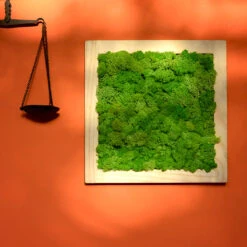 Classic Green Preserved Moss Frame With Light Wood
