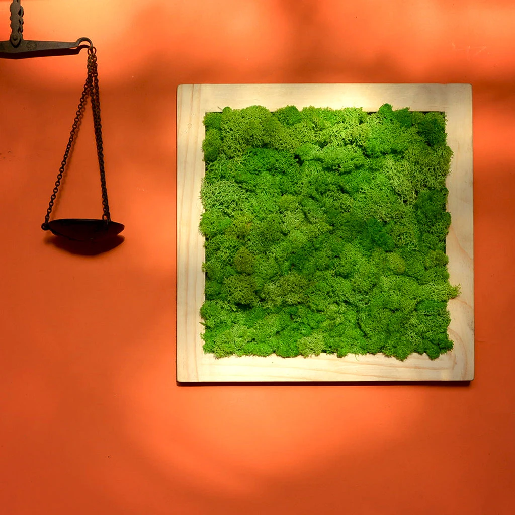 Classic Green Preserved Moss Frame With Light Wood 1 Classic Green Preserved Moss Frame With Light Wood