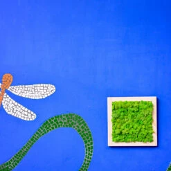 Classic Green Preserved Moss Frame With Light Wood 6 Classic Green Preserved Moss Frame With Light Wood -Plant Life Decor Shop Classic green moss frame 2