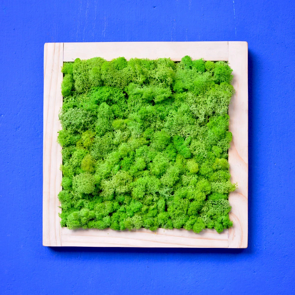 Classic Green Preserved Moss Frame With Light Wood 2 Classic Green Preserved Moss Frame With Light Wood - Image 2