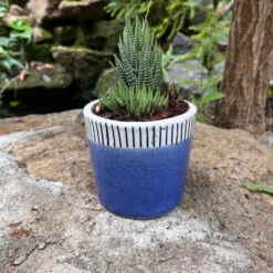 Coastal Edge Ceramic Pot -Plant Life Decor Shop Coastal Edge Ceramic Pot 6