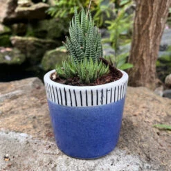 Coastal Edge Ceramic Pot