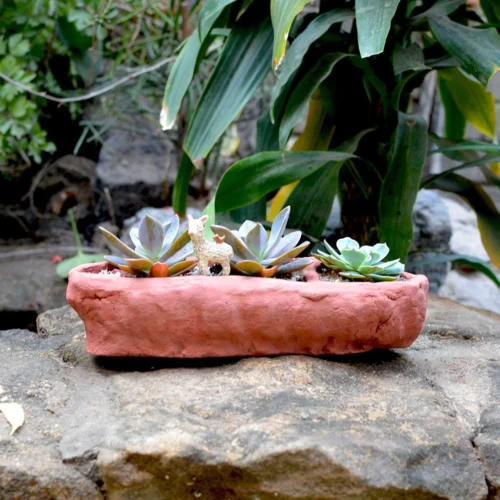 Crude Partitioned Rectangle Terracotta Pot -Plant Life Decor Shop Crude 1