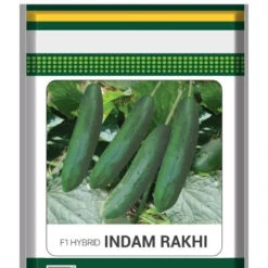 Cucumber Indam Rakhi (HY) Vegetable Seeds 5 Cucumber Indam Rakhi (HY) Vegetable Seeds -Plant Life Decor Shop CucumberIndamRakhi