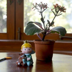 Miniature Prince With Fox – Storybook Resin Decor For Gardens & Gifts -Plant Life Decor Shop Cute Prince with Fox 3