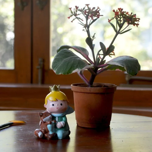 Miniature Prince With Fox – Storybook Resin Decor For Gardens & Gifts 5 Miniature Prince With Fox – Storybook Resin Decor For Gardens & Gifts -Plant Life Decor Shop Cute Prince with Fox 3