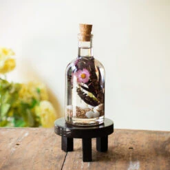 Curtained Wilderness Preserved Flower Tabletop -Plant Life Decor Shop Cutrained Wilderness 3