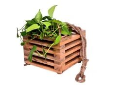 Solid Wood Hanging Wooden Planter -Plant Life Decor Shop DSC 8748