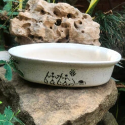 Designer Bonsai Ceramic Planter -Plant Life Decor Shop DesignerBonsaiOvalTray 23x16x6 600gms White 5