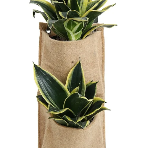 Double Pocket Multi-Purpose Vertical Gardening Kits -Plant Life Decor Shop DoublePocketVerticlee 010