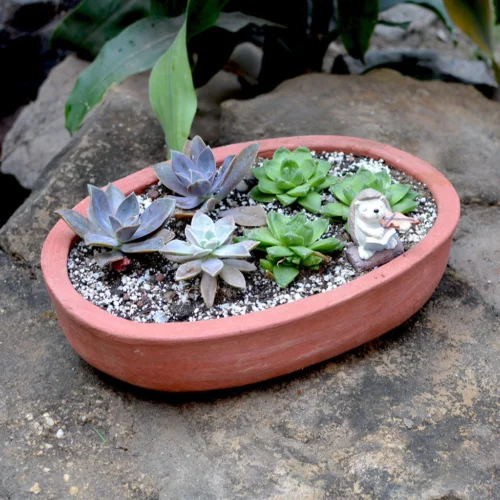 Set Of 2 Plain Oval Terracotta Pot -Plant Life Decor Shop Elongated oval 1