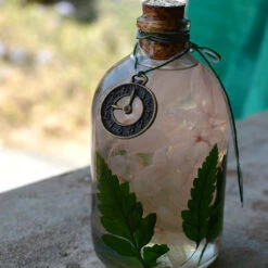 Eternal Flora Preserved Flower Tabletop -Plant Life Decor Shop Eternal Flora 2