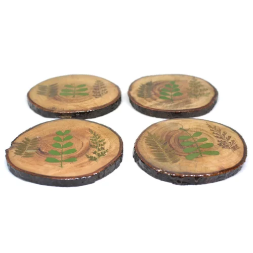 Fern Fossil Dried Flower Coaster 7 Fern Fossil Dried Flower Coaster -Plant Life Decor Shop Fern Fossil Coaster 4