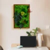 Fern Frenzy Preserved Moss Frame With Dark Wood