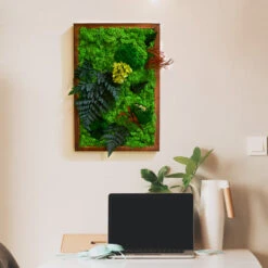Fern Frenzy Preserved Moss Frame With Dark Wood