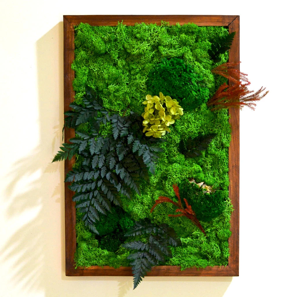 Fern Frenzy Preserved Moss Frame With Dark Wood 2 Fern Frenzy Preserved Moss Frame With Dark Wood - Image 2