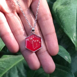 Flaming Floret Real Dried Flower Necklace -Plant Life Decor Shop Flaming Floret 4