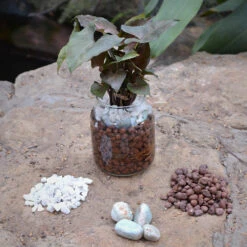 Flushed Camouflage Water Terrarium Kit