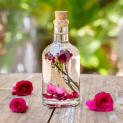 Floraison Quaint Rose Preserved Flower Tabletop