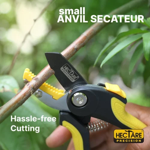 Hectare Precision Garden Pruning Secateur | Anvil Pruner | Plant Cutter For Home Garden| Ideal Cutting Capacity Upto 12mm 10 Hectare Precision Garden Pruning Secateur | Anvil Pruner | Plant Cutter For Home Garden| Ideal Cutting Capacity Upto 12mm -Plant Life Decor Shop Frame5