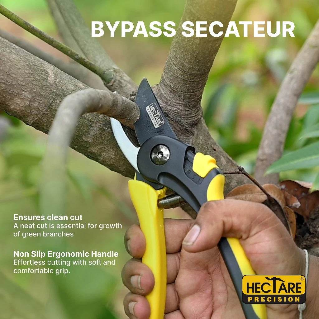 Hectare Precision Garden Pruning Secateur | Bypass Pruner | Plant Cutter For Home Garden | Ideal Cutting Capacity Upto 20 Mm 5 Hectare Precision Garden Pruning Secateur | Bypass Pruner | Plant Cutter For Home Garden | Ideal Cutting Capacity Upto 20 Mm - Image 5