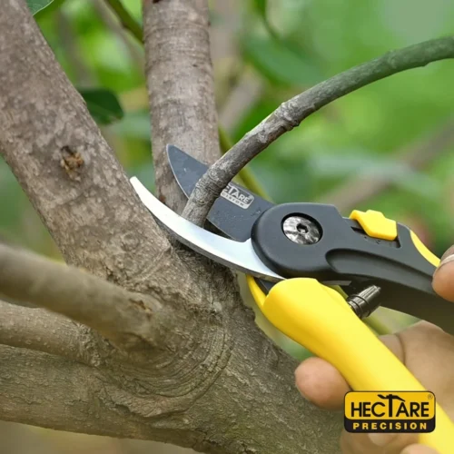 Hectare Precision Garden Pruning Secateur | Bypass Pruner | Plant Cutter For Home Garden | Ideal Cutting Capacity Upto 20 Mm 11 Hectare Precision Garden Pruning Secateur | Bypass Pruner | Plant Cutter For Home Garden | Ideal Cutting Capacity Upto 20 Mm -Plant Life Decor Shop Frame6 3