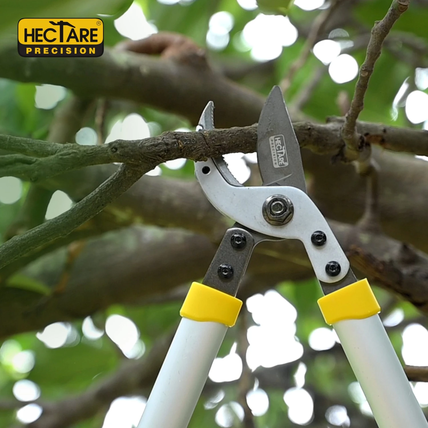 Hectare Precision Anvil Lopper | Heavy Duty Tree Branch Cutter | 35 Mm Cutting Capacity Tree Trimmer 2 Hectare Precision Anvil Lopper | Heavy Duty Tree Branch Cutter | 35 Mm Cutting Capacity Tree Trimmer - Image 2