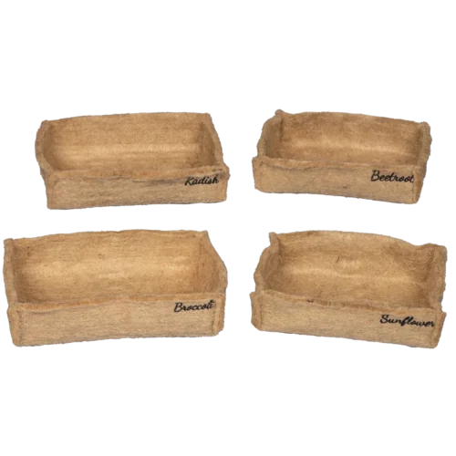 Eco Microgreen Grow Kit (Large) -Plant Life Decor Shop IMAGE12