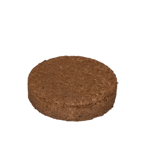 Eco Microgreen Grow Kit (Large) -Plant Life Decor Shop IMAGE16