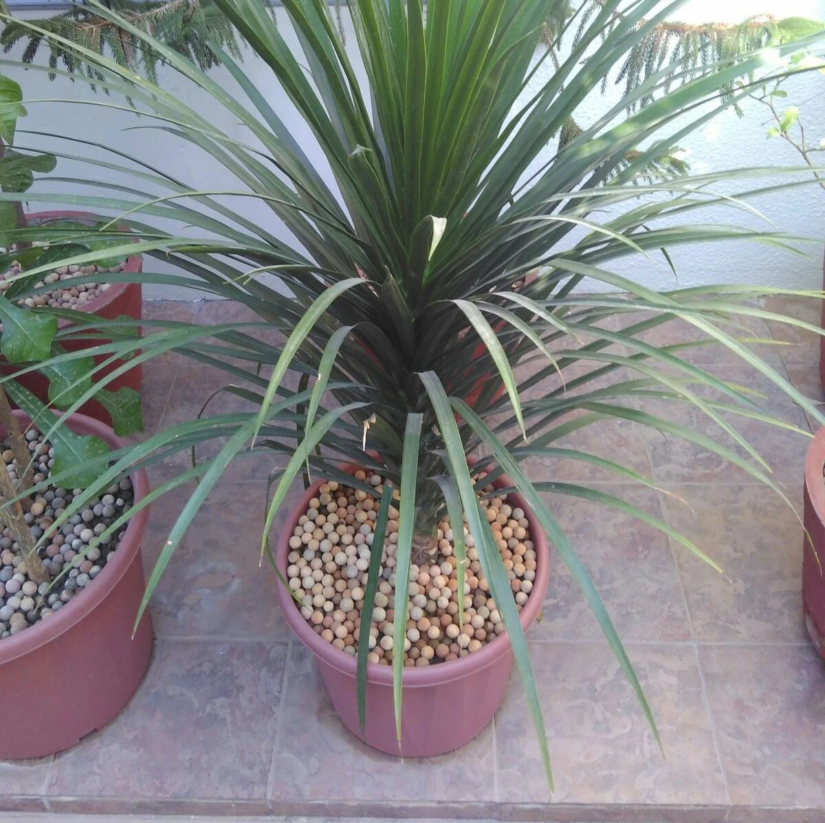 Green Plus - Light Weight Clay Aggregate 2 Green Plus - Light Weight Clay Aggregate - Image 2