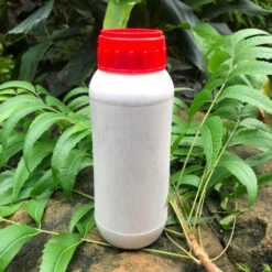 Neem Oil -Organic Insecticide